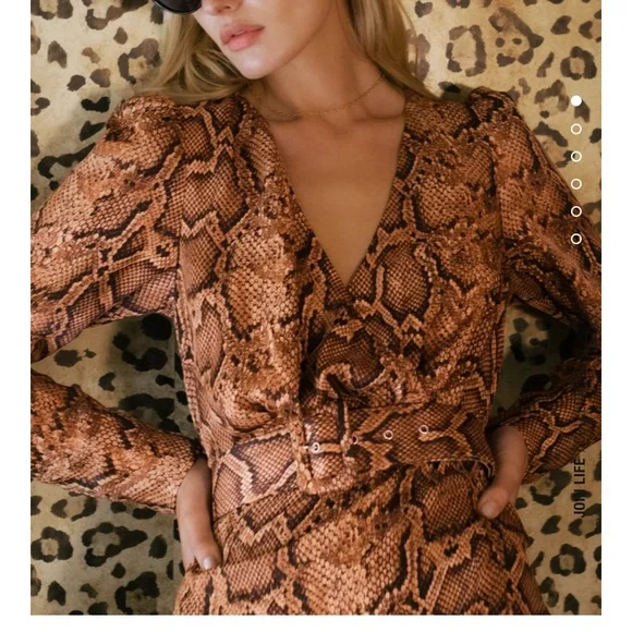 Zara Snake Print Satin Dress Zara Maxi Satin Leopard Animal Print